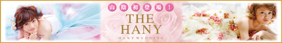 banner_hany